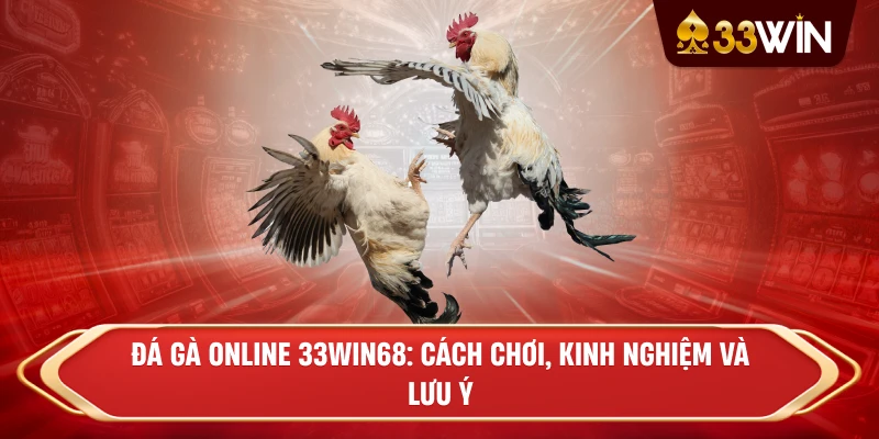 Đá Gà Online 33win68: Cách Chơi, Kinh Nghiệm Và Lưu Ý