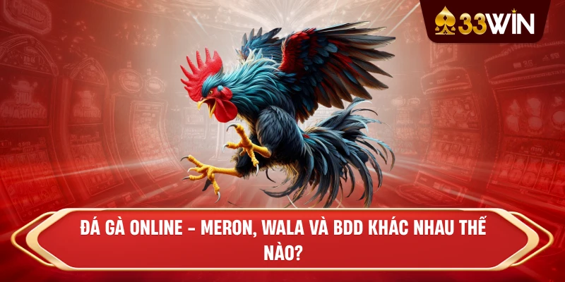 Đá Gà Online - Meron, Wala và BDD khác nhau thế nào?