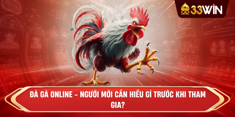Đá Gà Online - Người mới cần hiểu gì trước khi tham gia?