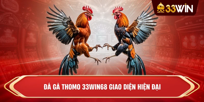Đá gà Thomo 33win68 giao diện hiện đại