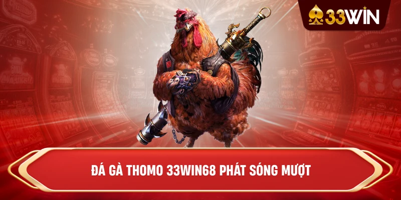 Đá gà Thomo 33win68 phát sóng mượt