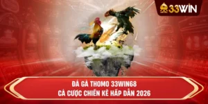 Đá gà Thomo 33win68 – Cá cược chiến kê hấp dẫn 2026