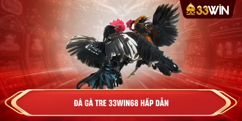 Đá gà tre 33win68 hấp dẫn