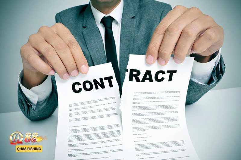 Miễn Trừ Trách Nhiệm - Các phạm vi thường có trong Miễn Trừ Trách Nhiệm QH88