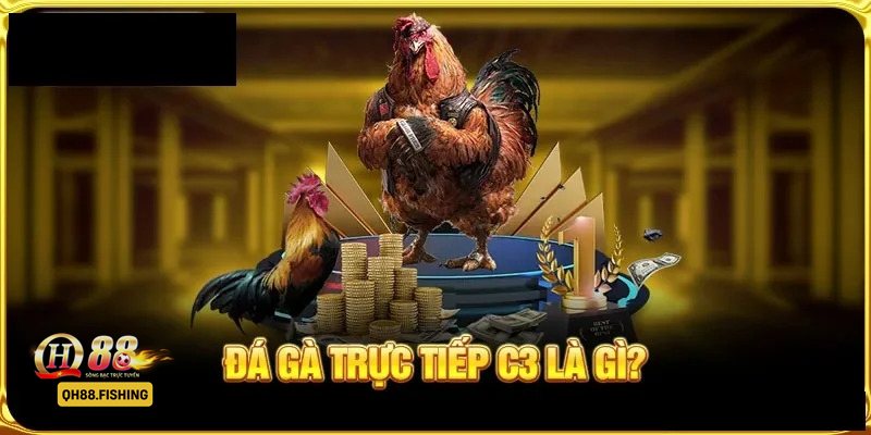 Đá Gà Thomo - Cách xác định kết quả