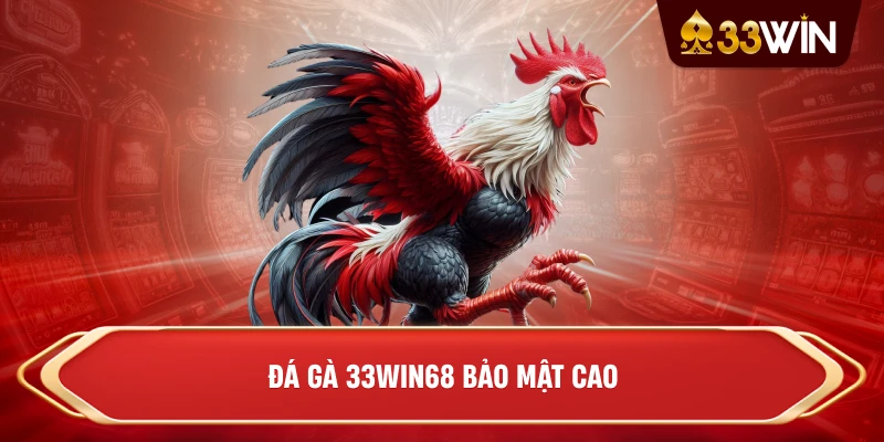 Đá gà 33win68 bảo mật cao